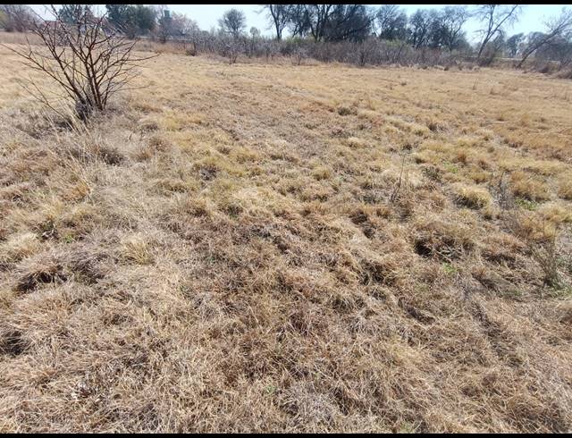 23,250M² VACANT LAND FOR SALE IN VONGEUSOPARK
